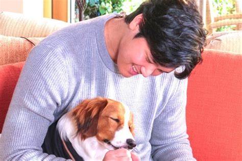 大谷翔平の愛犬デコピンが“破壊したぬいぐるみ”に、パワプロ・プロスピ公式が反応「頑丈でワンちゃんと遊びやすい“パワプロくん”の準備を」｜ニフティニュース