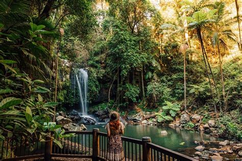 Chasing Waterfalls in the Gold Coast Hinterland - Brisbane Kids