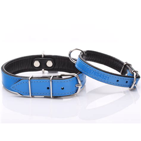 Authentic Blue Leather Dog Collar With Padding