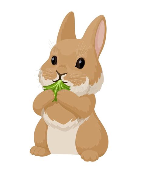 Little Cute Bunny Eats A Lettuce Leaf Holding It With Its Front Paws