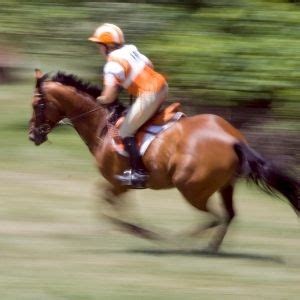 Cross Country Horse Riding – a beginner’s guide