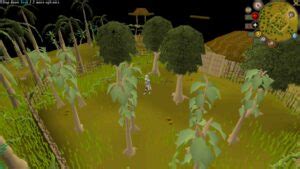 OSRS: The Best Mahogany Tree Spots (Ranked) | Gaming Gorilla