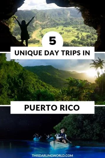 The Top Five Unique Day Trips In Puerto Rico Including An Underground