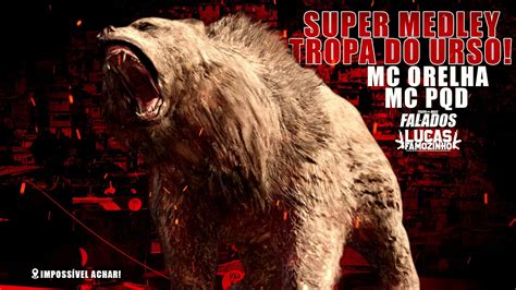 MC PQD E MC ORELHA SUPER MEDLEY DA TROPA DO URSO COMPLEXO DA PENHA