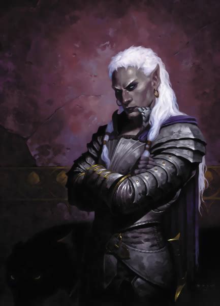 Image - Forgotten Realms - Drizzt Do'Urden by Brom.png | Heroes Wiki ...