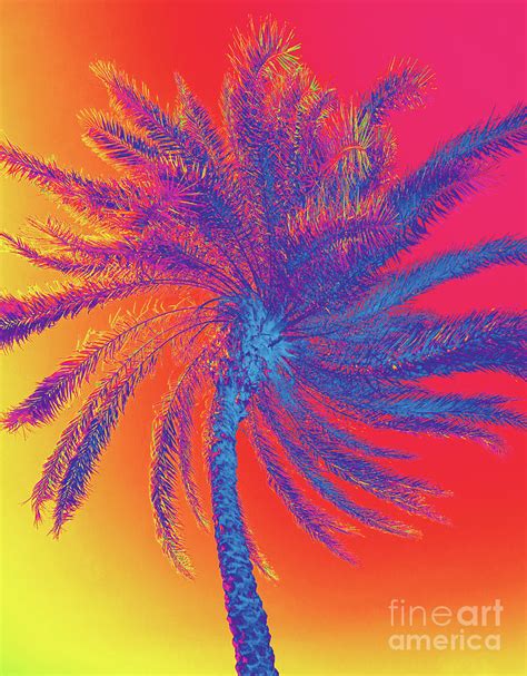 1991 Palm Tree Digital Art By Deborah Carpenter Fine Art America