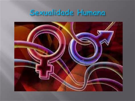 Sexualidade Humana 7ºb 11 Paola Ppt Download Gratuito