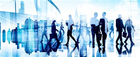 occupational certificate courses crane international academy