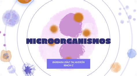 Microorganismos By Barbara Diaz Talaveron On Prezi