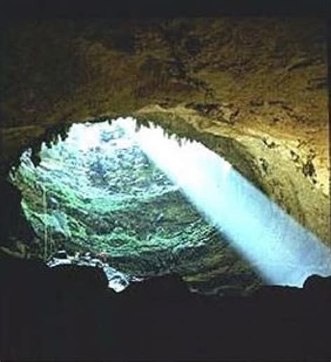 Devils Den Sinkhole Near Gainesville Fl Travel Pinterest Devil