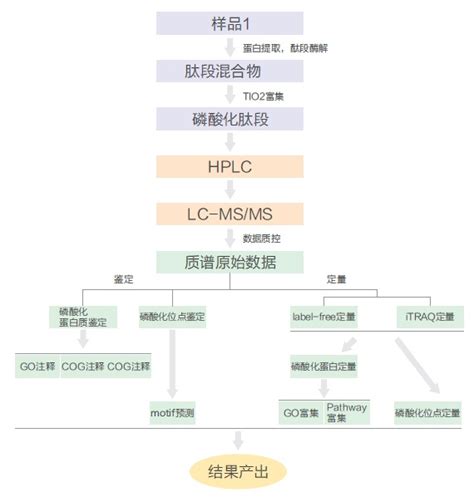 磷酸化蛋白质组鉴定技术路线及经典案例介绍生物器材网