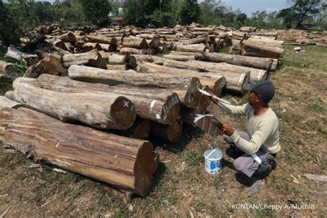 Ekspor Produk Kayu Indonesia Terus Meningkat