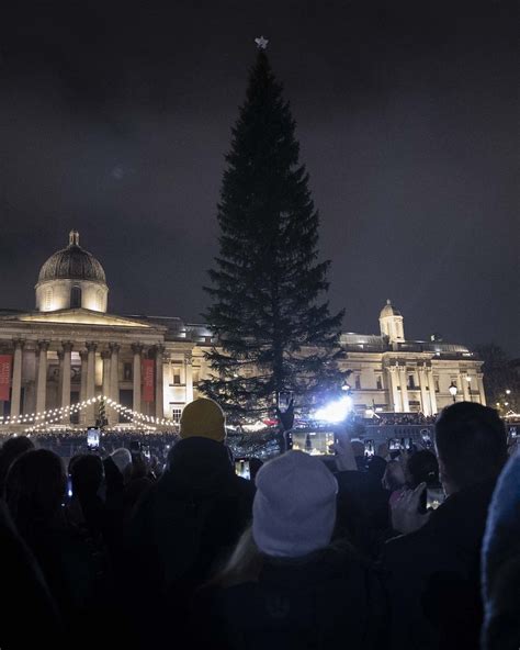 The Trafalgar Square Christmas Tree Lights Up London