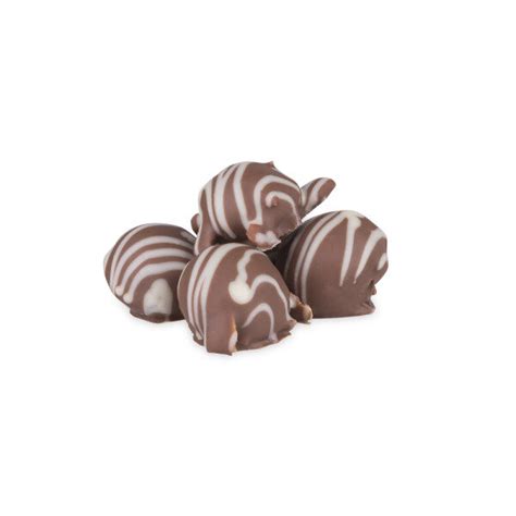 Macadamian Sse Im Schokomantel Choco Macadamia N Sse Online Kaufen