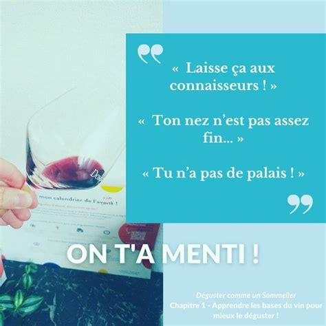 Apprendre le vin - Chapitre 1 : Les bases pour apprendre à déguster le ...