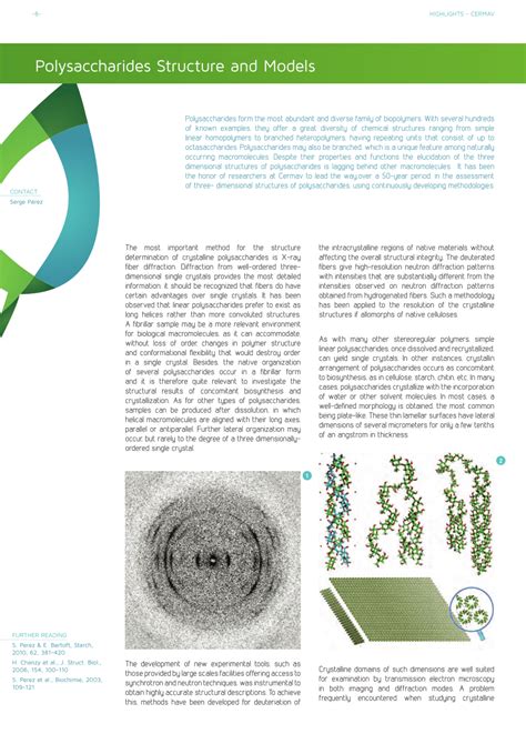 (PDF) Polysaccharides structure and Models