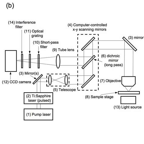 Two Alternate Designs Of The Two Photon Microscope With Spectral