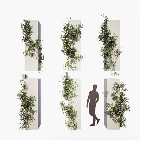 Clematis Collection 1 Climbing Plant 3d Model 139 Max Free3d