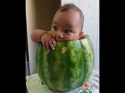 Bebe Dentro Da Melancia - BEBÊ DENTRO DA MELANCIA - YouTube