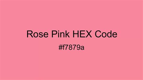 Rose Pink Color Hex And Rgb Values