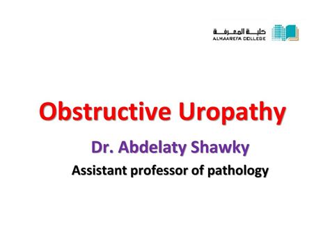 Assistant Professor Of Pathology Ppt Download