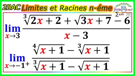 Dl De Racine De 1 X AUTOMASITES