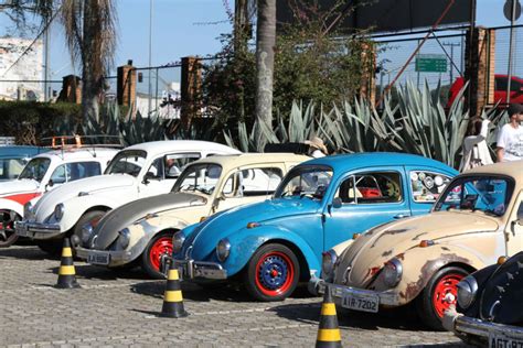 Fusca Comemora O Seu Dia Mundial Encontro Em Curitiba Tribuna Pr