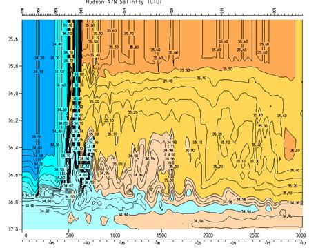 North Atlantic Circulation And Thermohaline Forcing