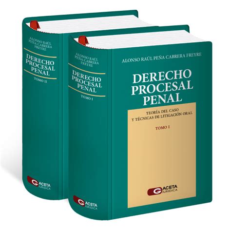 DERECHO PROCESAL PENAL Teoría del caso y técnicas de litigación oral