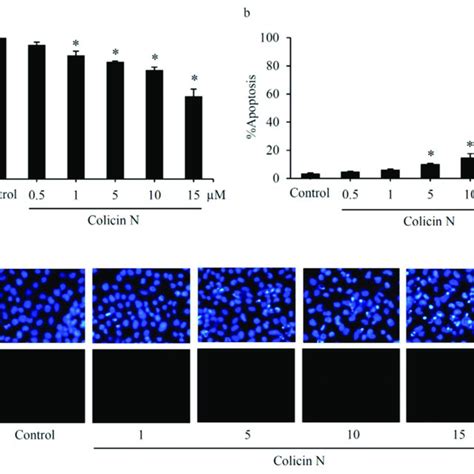 Apoptosis Inducing Effect Of Colicin N In Human Lung Cancer Cells A