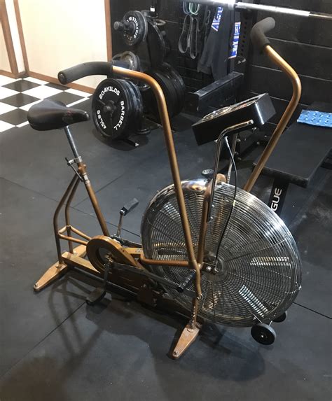 Schwinn Airdyne 8