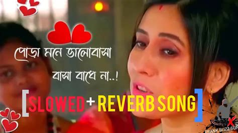 পোড়া মনে ভালোবাসা বাসা বাধে না। Ogo Nagor Amar Nithur Baro Slowed