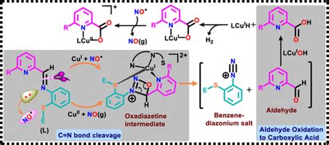 Reactivity Of Nitric Oxide And Nitrosonium Ion With Copperiii Schiff