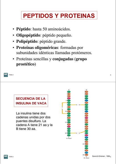 Solution Prote Nas Funciones Biol Gicas Y Estructura Primaria Studypool