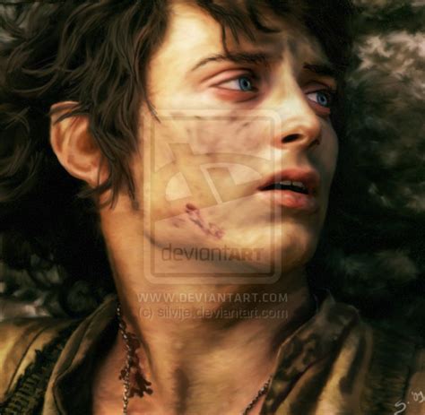 Frodo Lord Of The Rings Fan Art 14060651 Fanpop