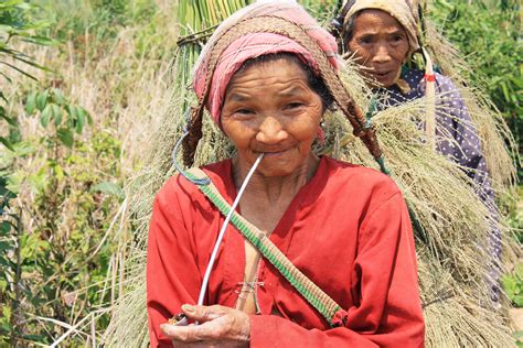 Days Trek Gibbon Trail In Vieng Phoukha Phou Iu Travel Ecotourism