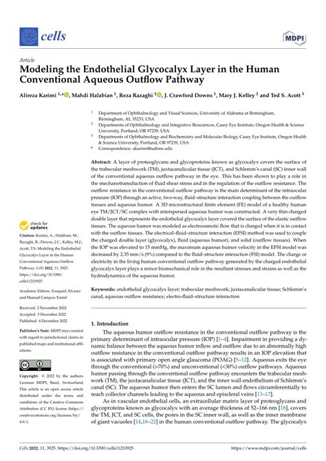 PDF Modeling The Endothelial Glycocalyx Layer In The Human