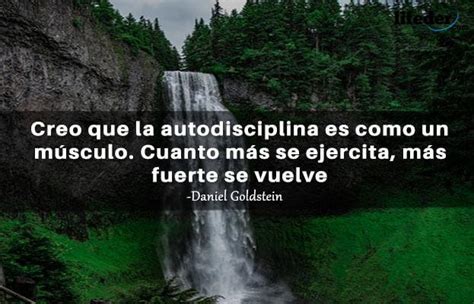 100 Frases De Disciplina Constancia Y Orden En La Vida