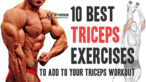 Best Tricep Workouts For Mass And Definition EOUA Blog