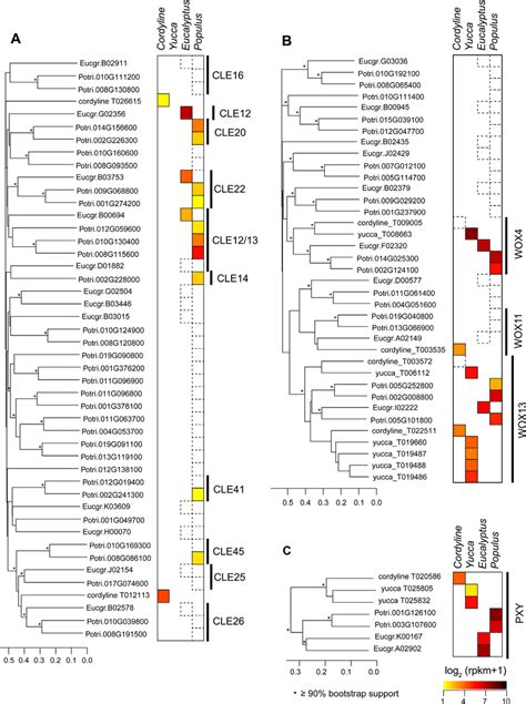 Comparison Of Transcript Levels For A CLE Like Peptide Encoding Genes