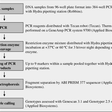 Snp Genotyping Work Flow Of Pcr Rflp At The Finnish Genome Center