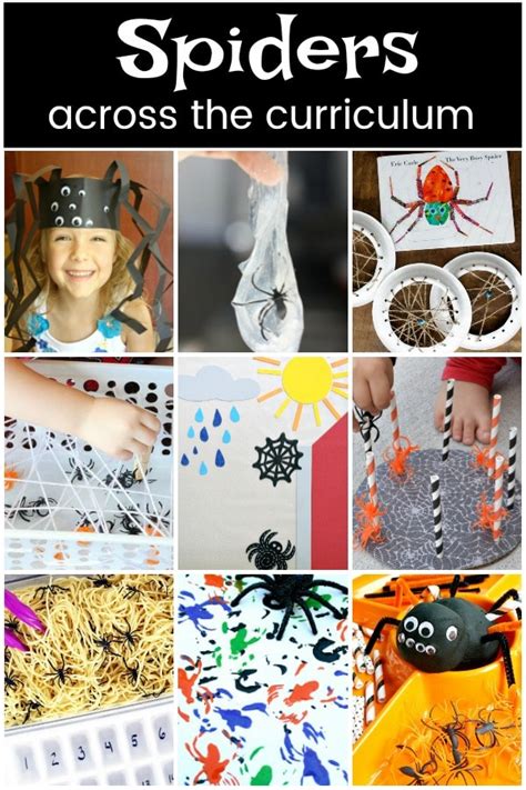 Spider Crafts And Activities For Kids Fantastic Fun And Learning