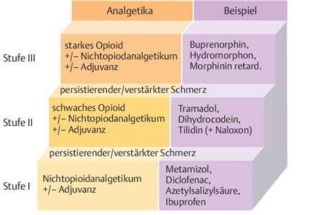 Therapie Schmerzen Karteikarten Quizlet