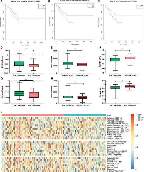 Frontiers Comprehensive Analysis Of M6a Rna Methylation Regulators In