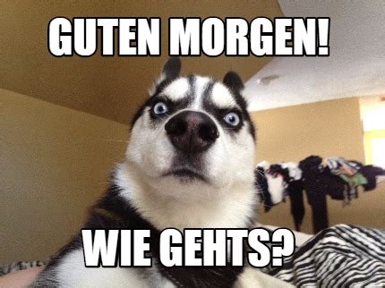 Meme Creator Funny Guten Morgen Wie Gehts Meme Generator At