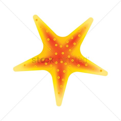 Starfish Vector At Collection Of Starfish Vector Free