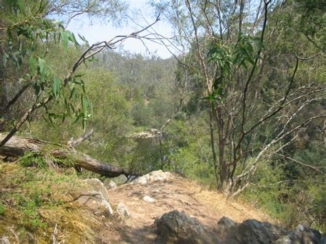 Tracks Trails And Coasts Near Melbourne Nature Trail Jumping Creek