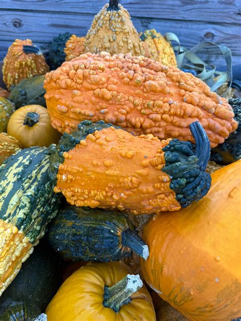 Planning committee explains why capital blvd needs more light 9