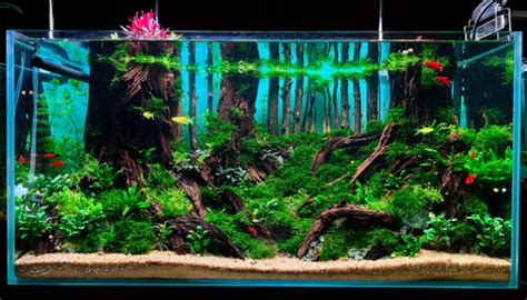 how much baking soda to raise ph in aquarium