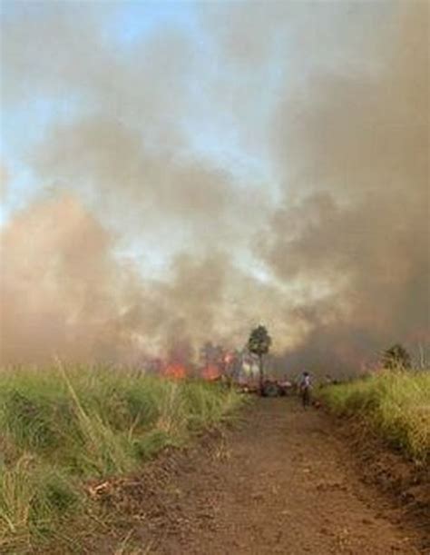 Un Incendio Arrasó Más De 5000 Hectáreas Del Parque Nacional Chaco